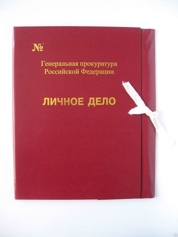 Дело сотрудников. Папка личное дело. Папки для личных дел. Папки для личных дел сотрудников. Папка доч личного дела.