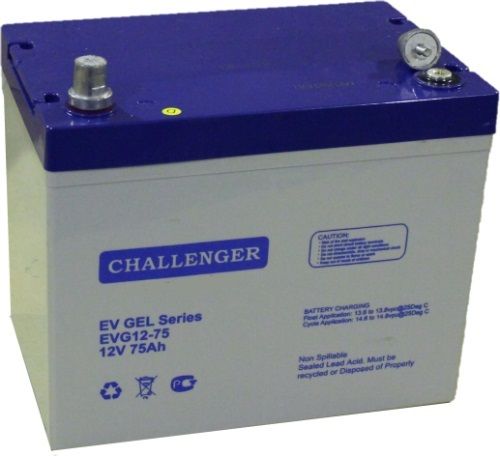 Аккумулятор тяговый Challenger EVG12-75 (66 Ач)